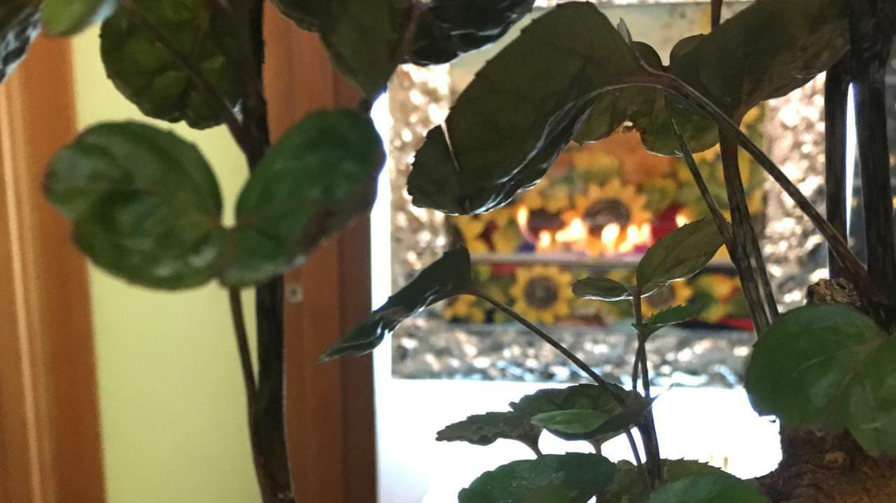 פירנצה La Maison De Fuecopared מראה חיצוני תמונה